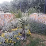 Palm Paradise Daire *