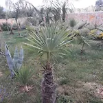 Daire Palm Paradise Stobreč