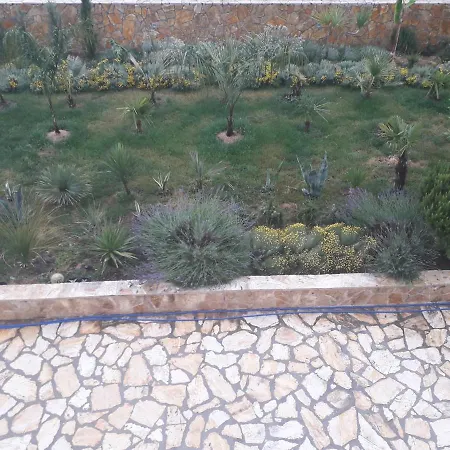 Palm Paradise