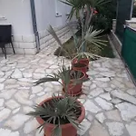 Palm Paradise * Stobreč