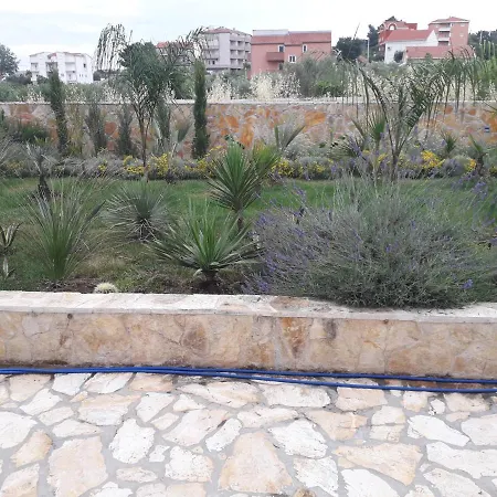 Palm Paradise Apartman