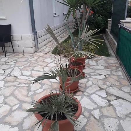 Palm Paradise * Stobrec