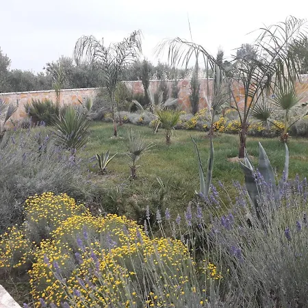 Palm Paradise Apartman *