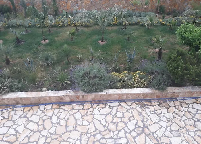 Palm Paradise